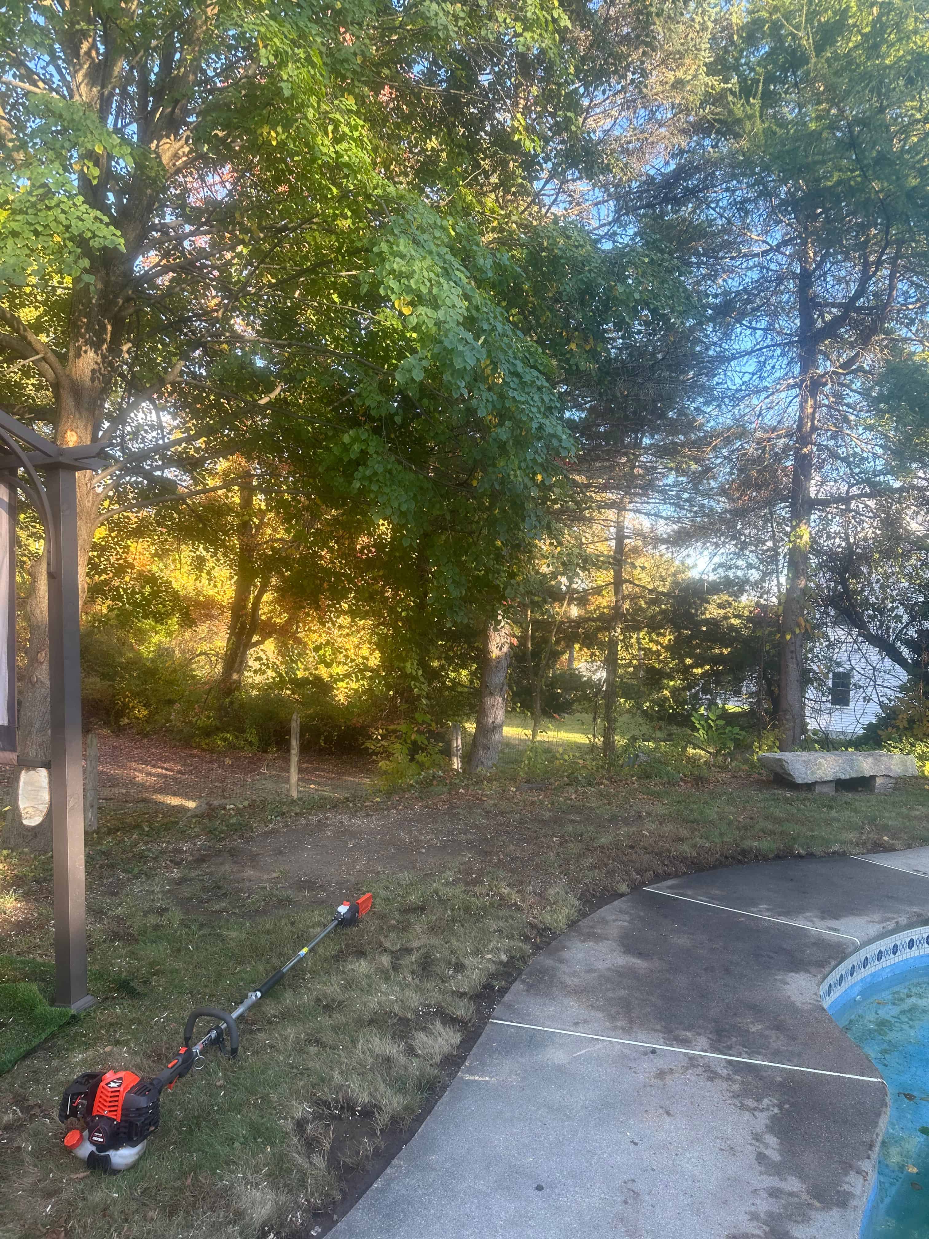 Tree services image