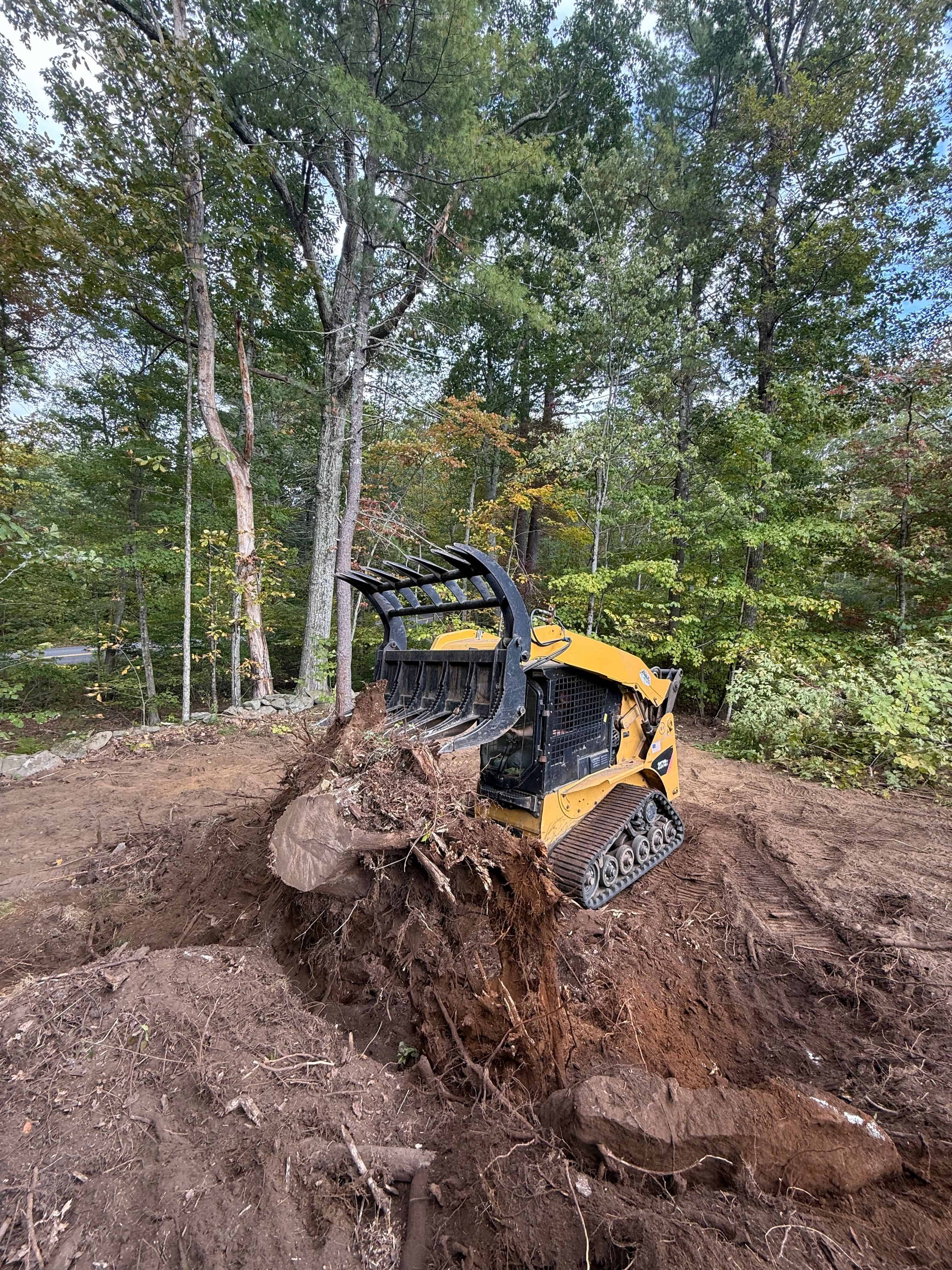 Brush Removal and Stump Grinding image
