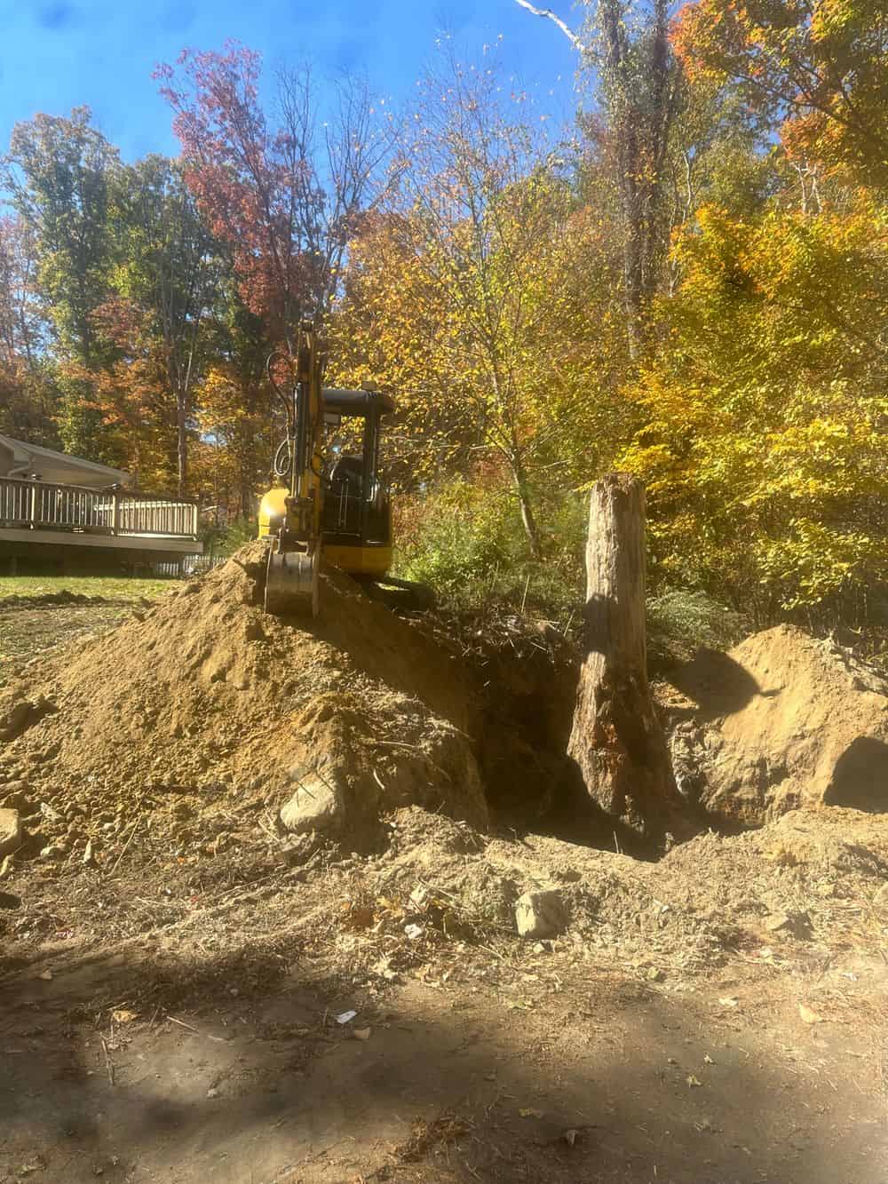 Brush Removal and Stump Grinding image