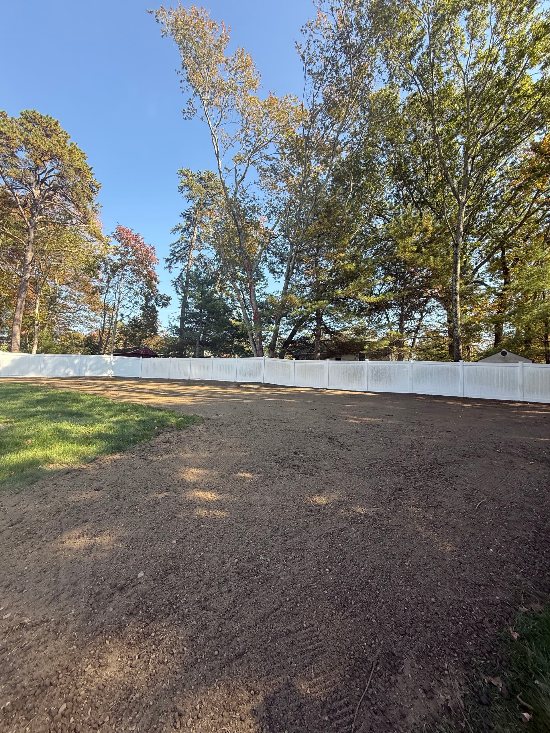 Gallery photos for Backyard Transformation from Overgrowth to Open Space: Image #1