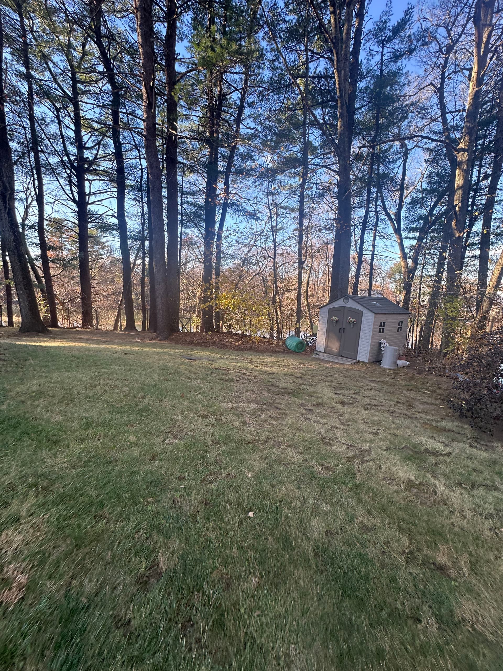 Turning Fallen Leaves into Lush Lawns