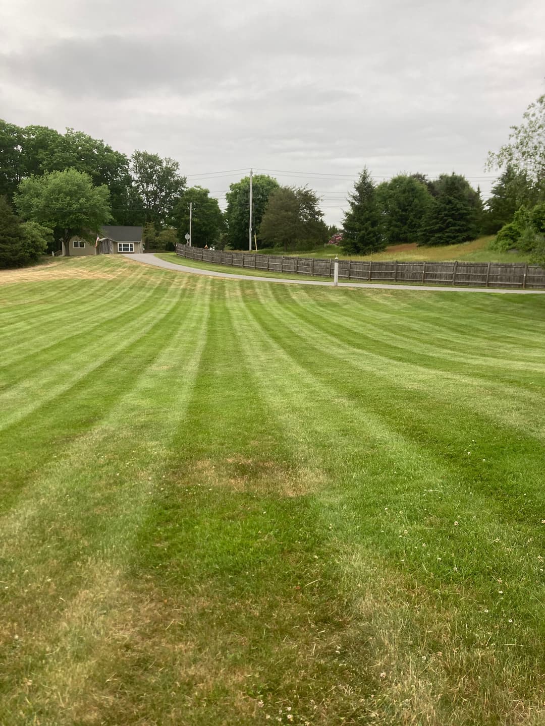 Lush green lawn with neatly striped grass under an overcast sky and wooden fence in the background.