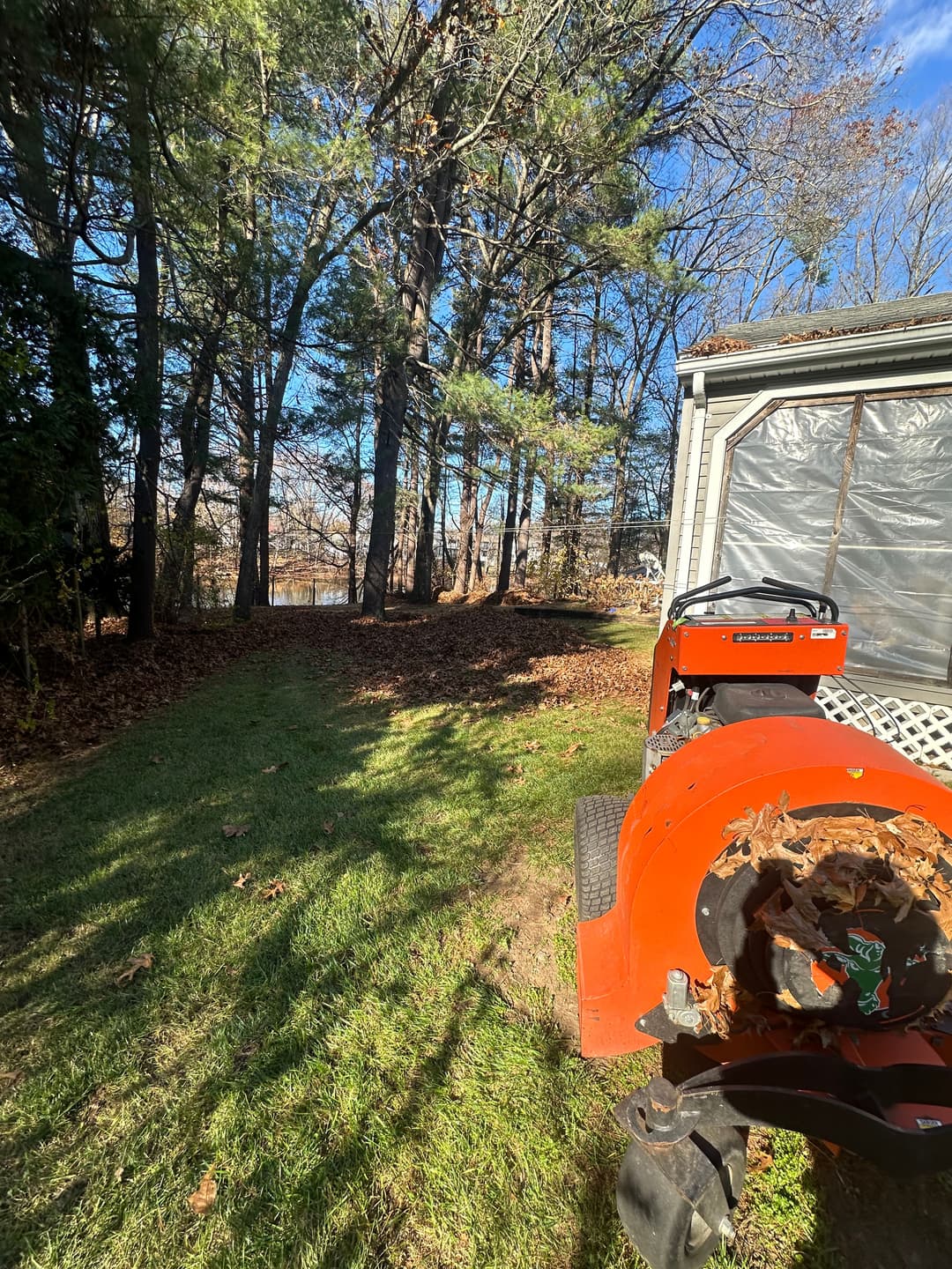 Lawn care scene showing a leaf blower beside a wooded area with fallen leaves.