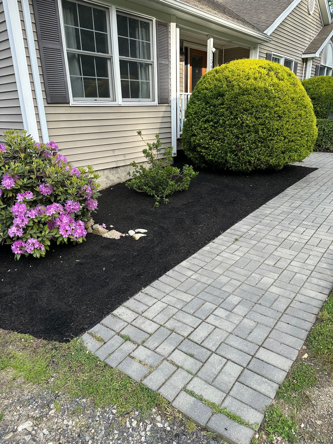 Front yard landscaping with blooming pink azaleas, trimmed bushes, and a stone pathway.