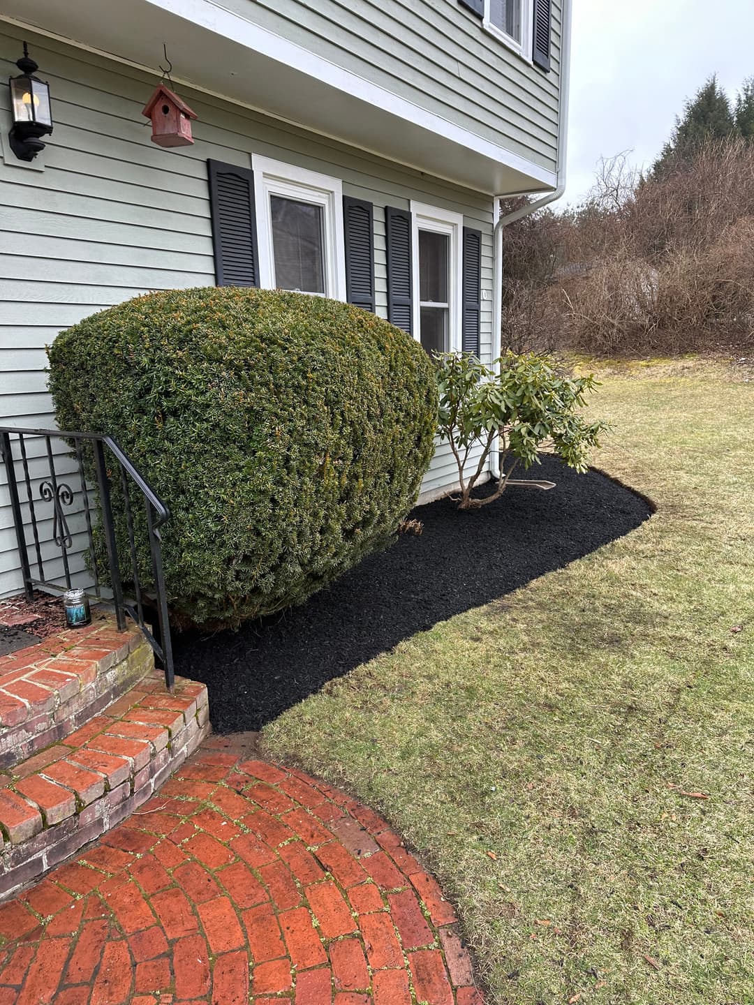 Well-manicured shrubs and mulched flower bed beside a home, with brick walkway and green lawn.