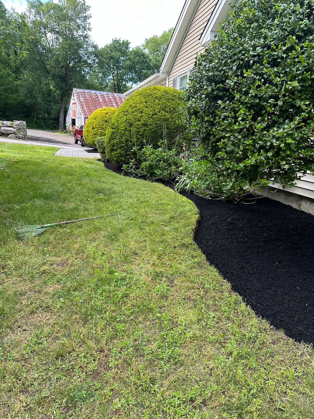 Landscaped yard with green bushes, black mulch, and a clear path beside a house.