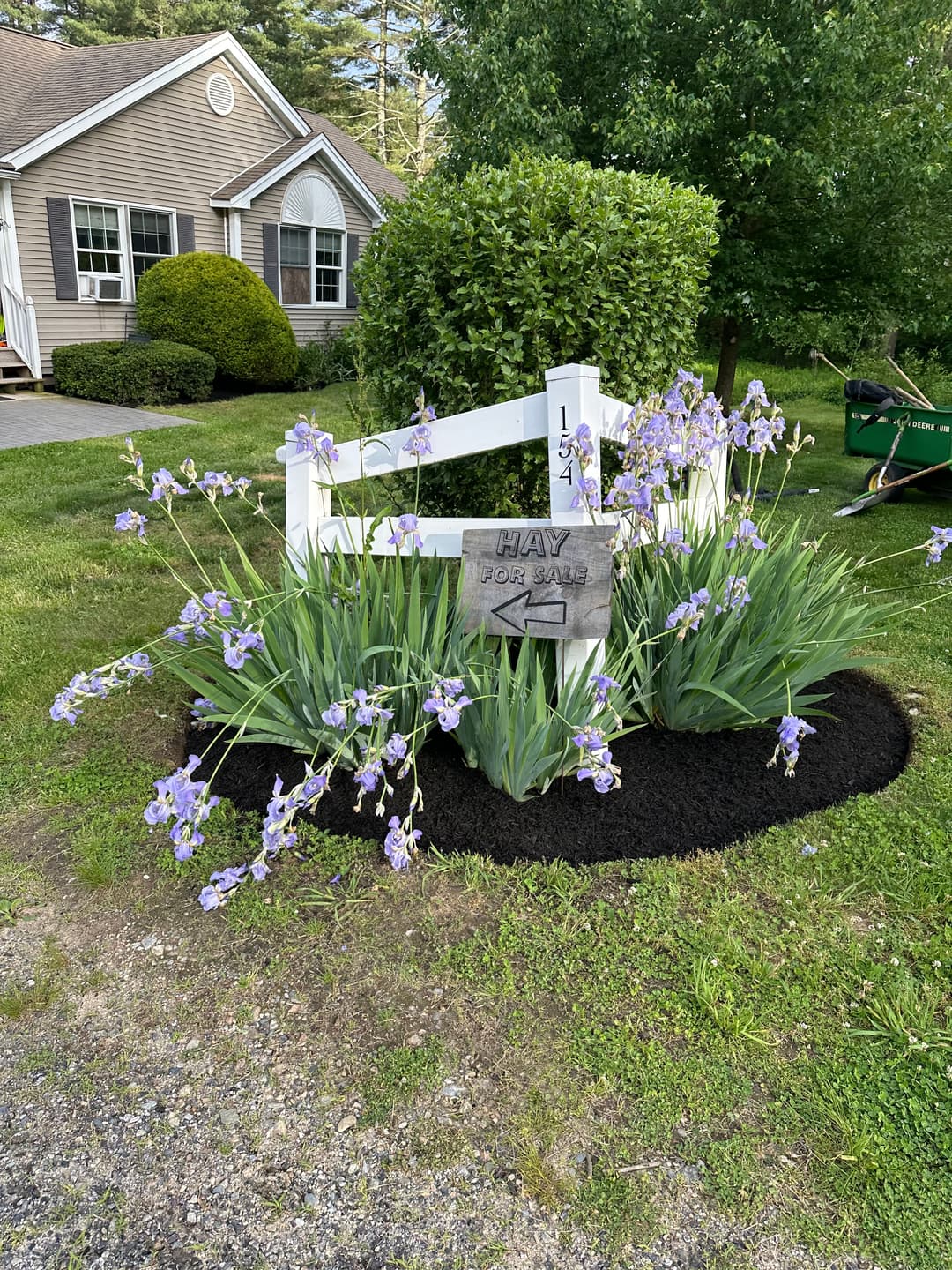 Iris flowers bloom around a wooden sign reading "Hay for Sale" near a house.