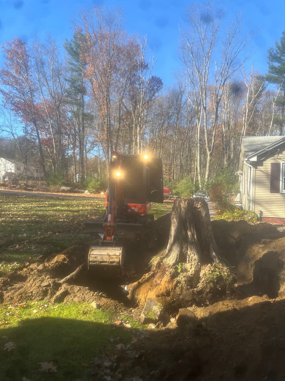 Excavator removing a tree stump in a wooded backyard during fall.