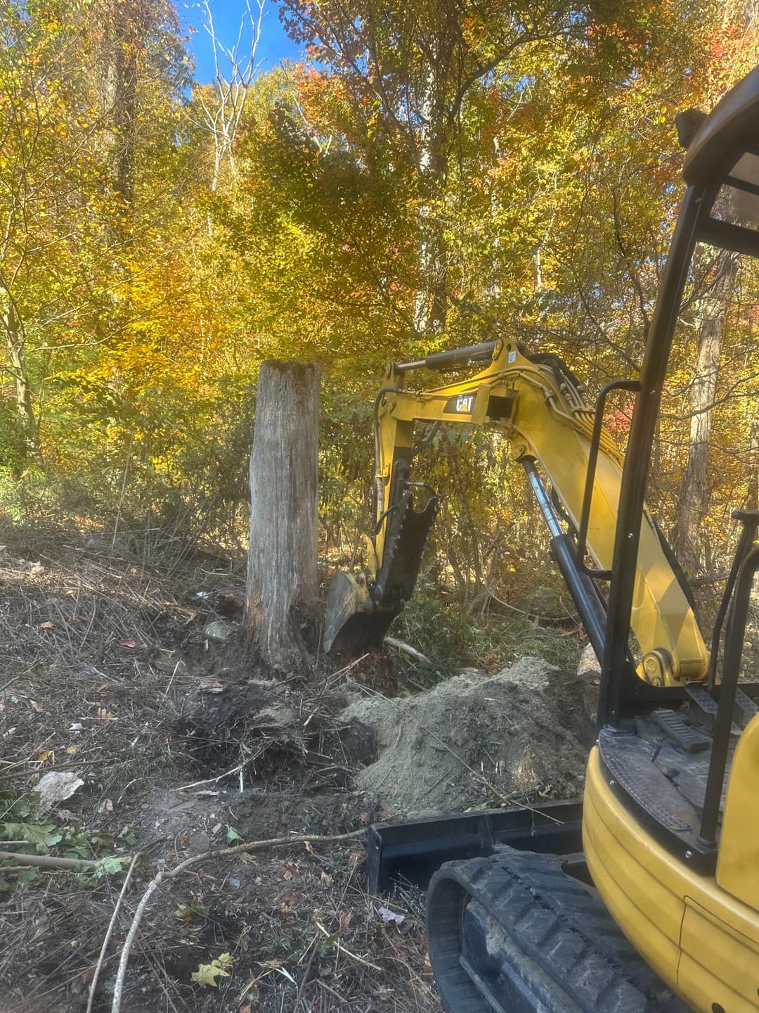 Excavator removing a tree stump in a wooded area during autumn foliage.