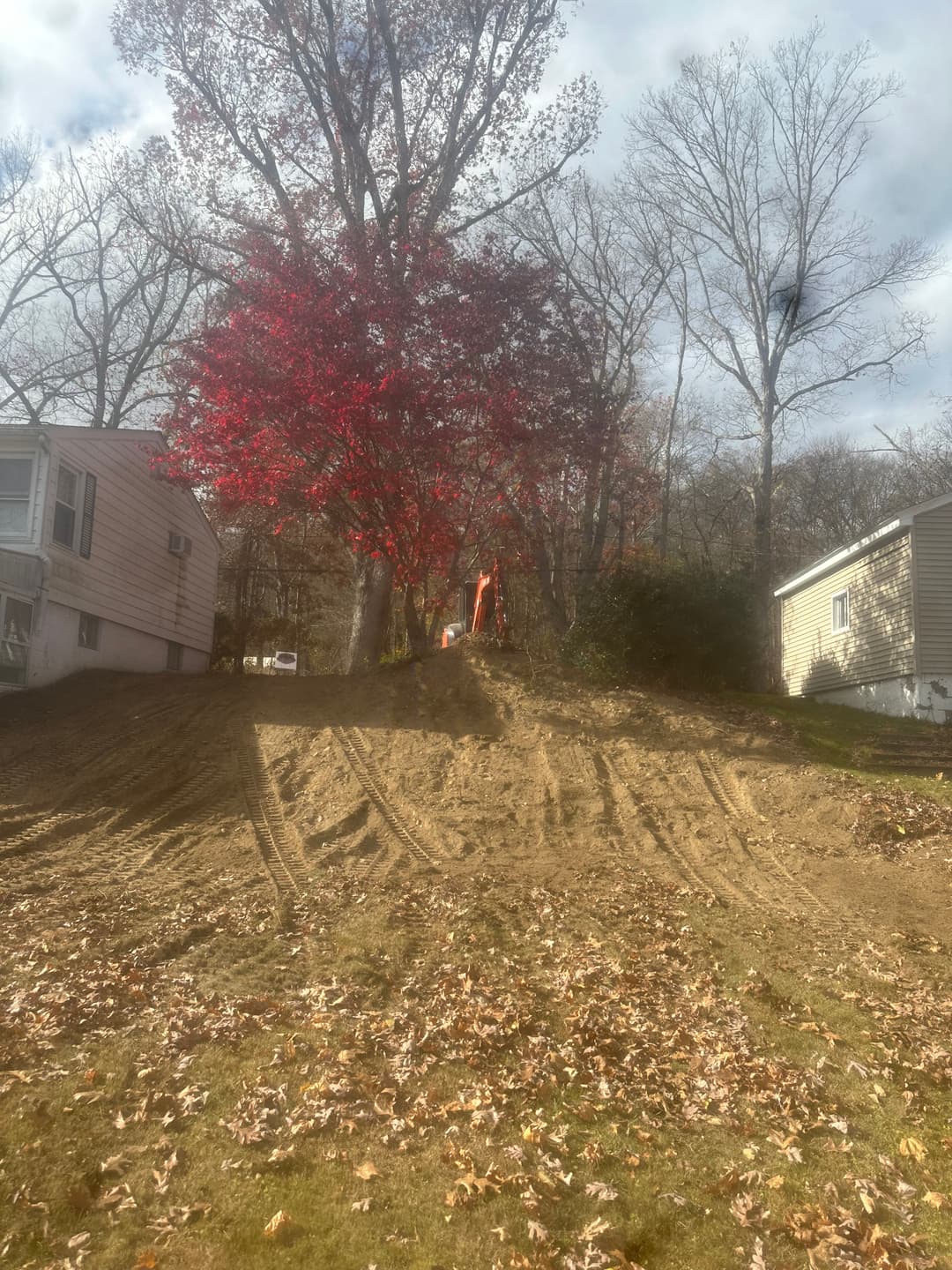 Excavation site with red maple tree and autumn leaves on a residential hillside.