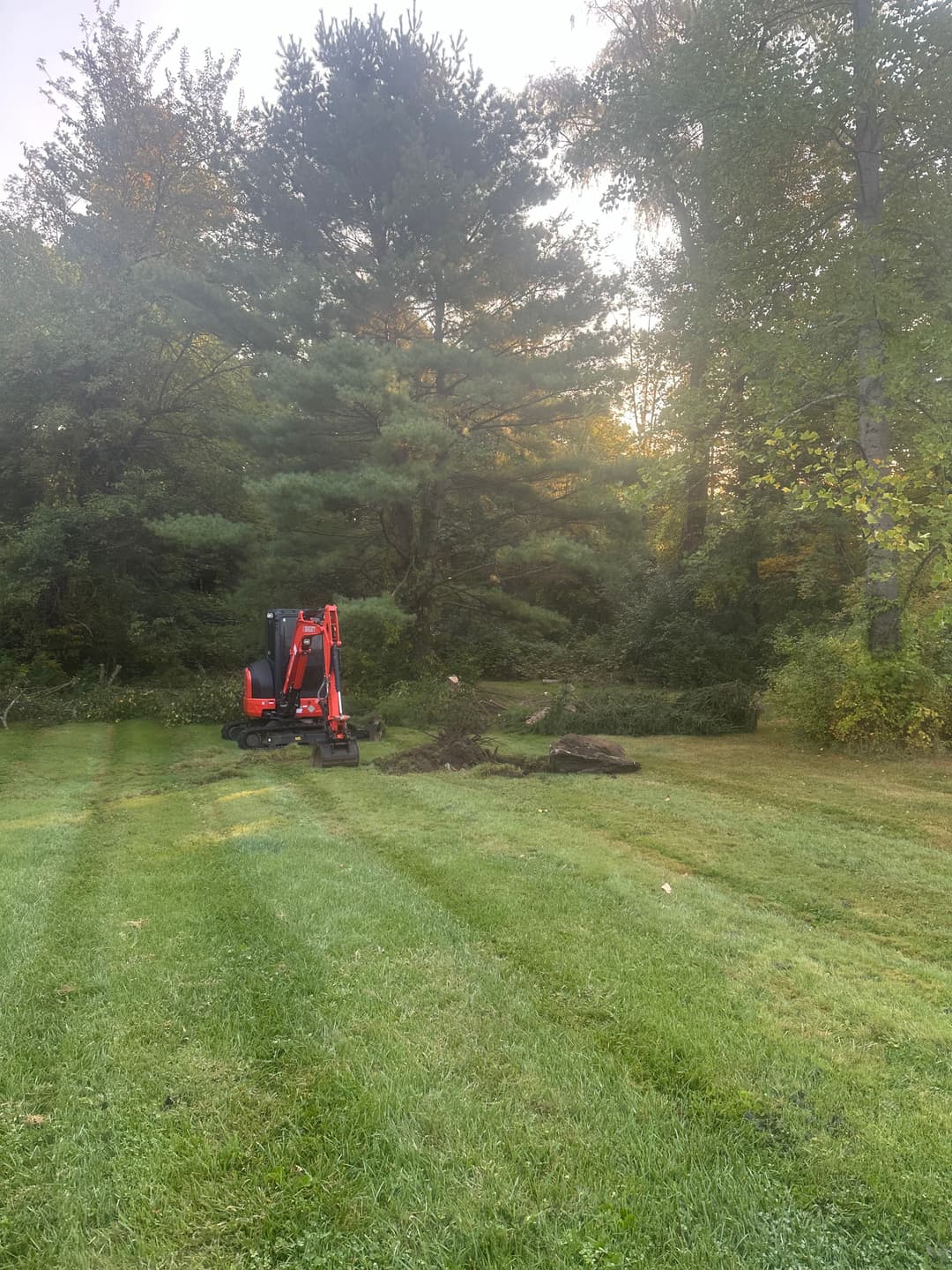 Compact tractor digging in a grassy yard surrounded by trees during sunrise.