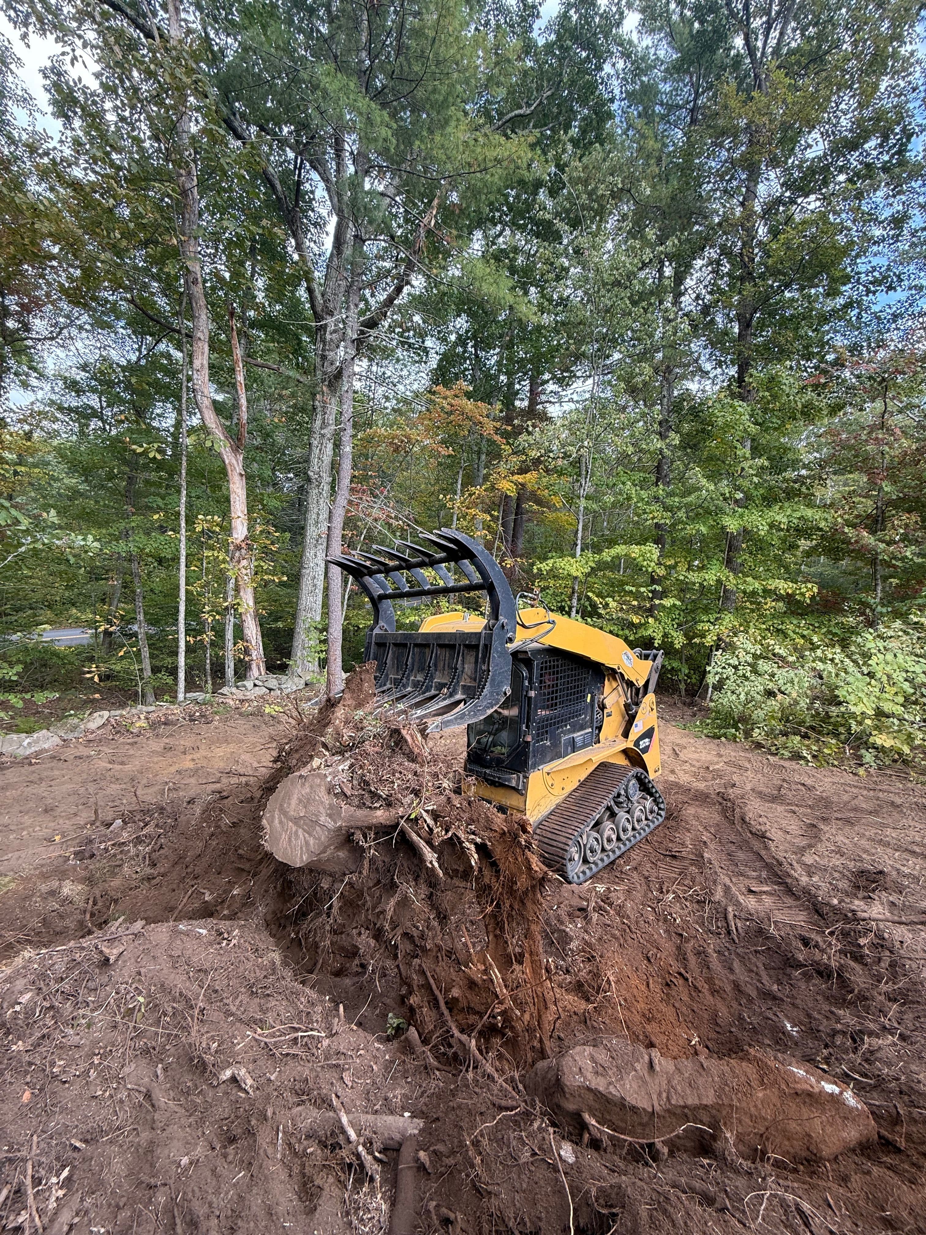 Brush Removal and Stump Grinding image