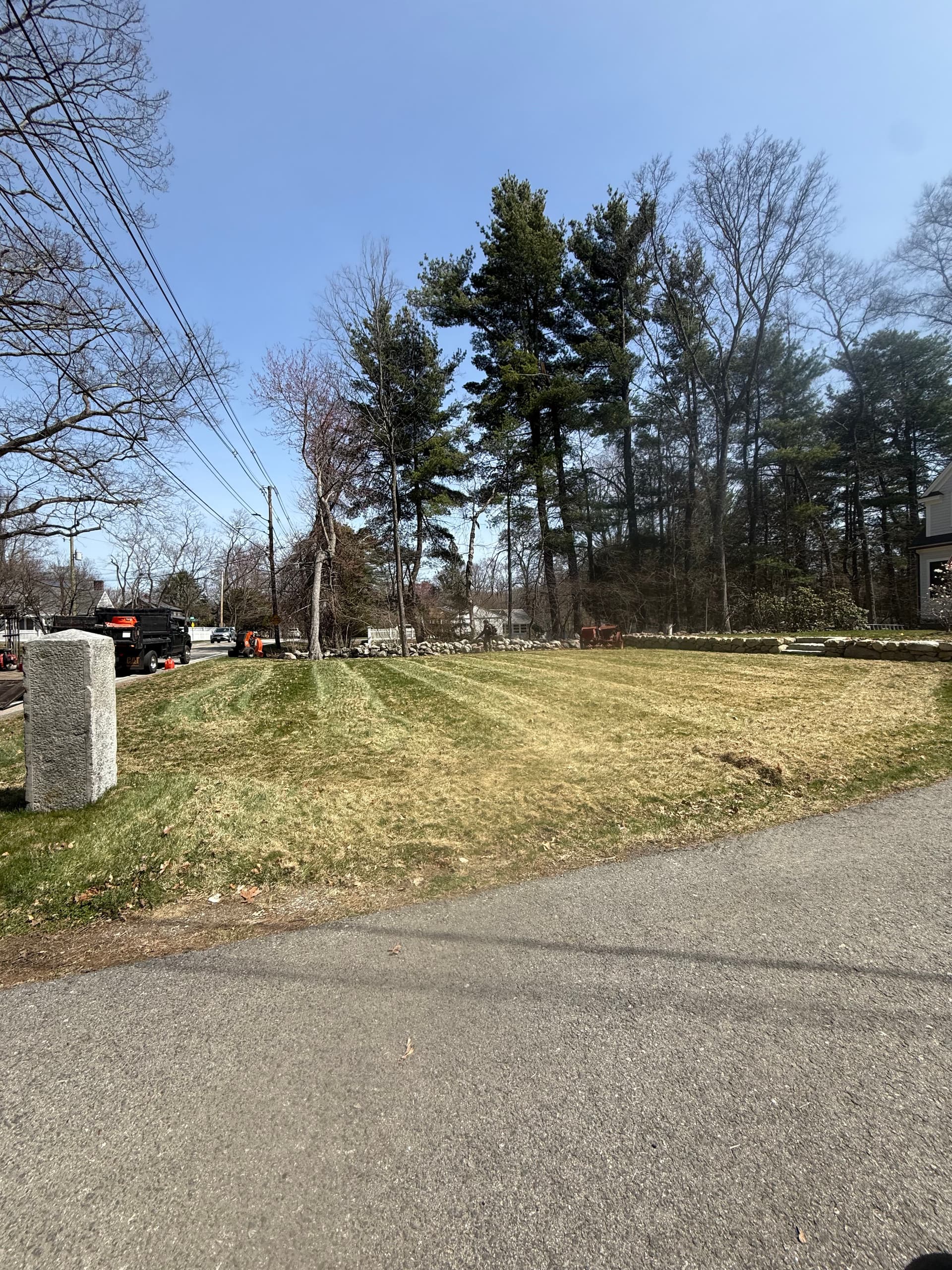 Spring Cleanup and Dethatching That Actually Makes a Difference image