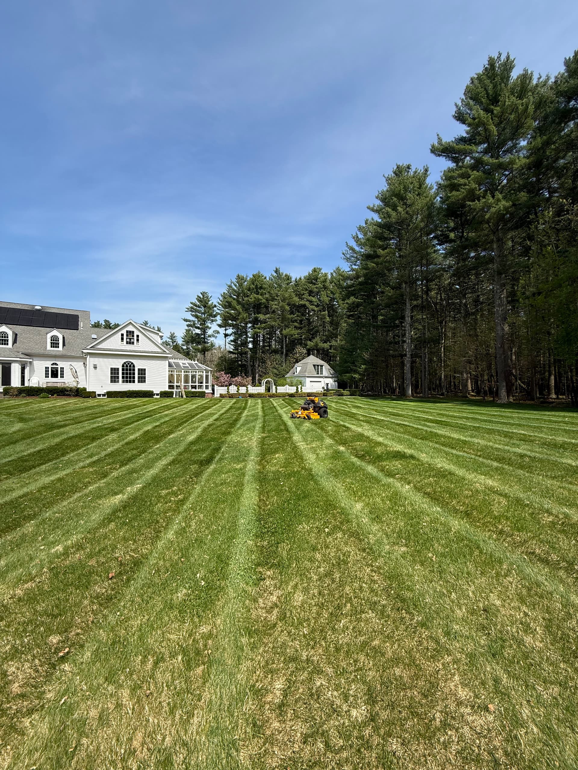 Gallery photos for Weekly Lawn Maintenance Highlights Pristine Landscapes: Image #6