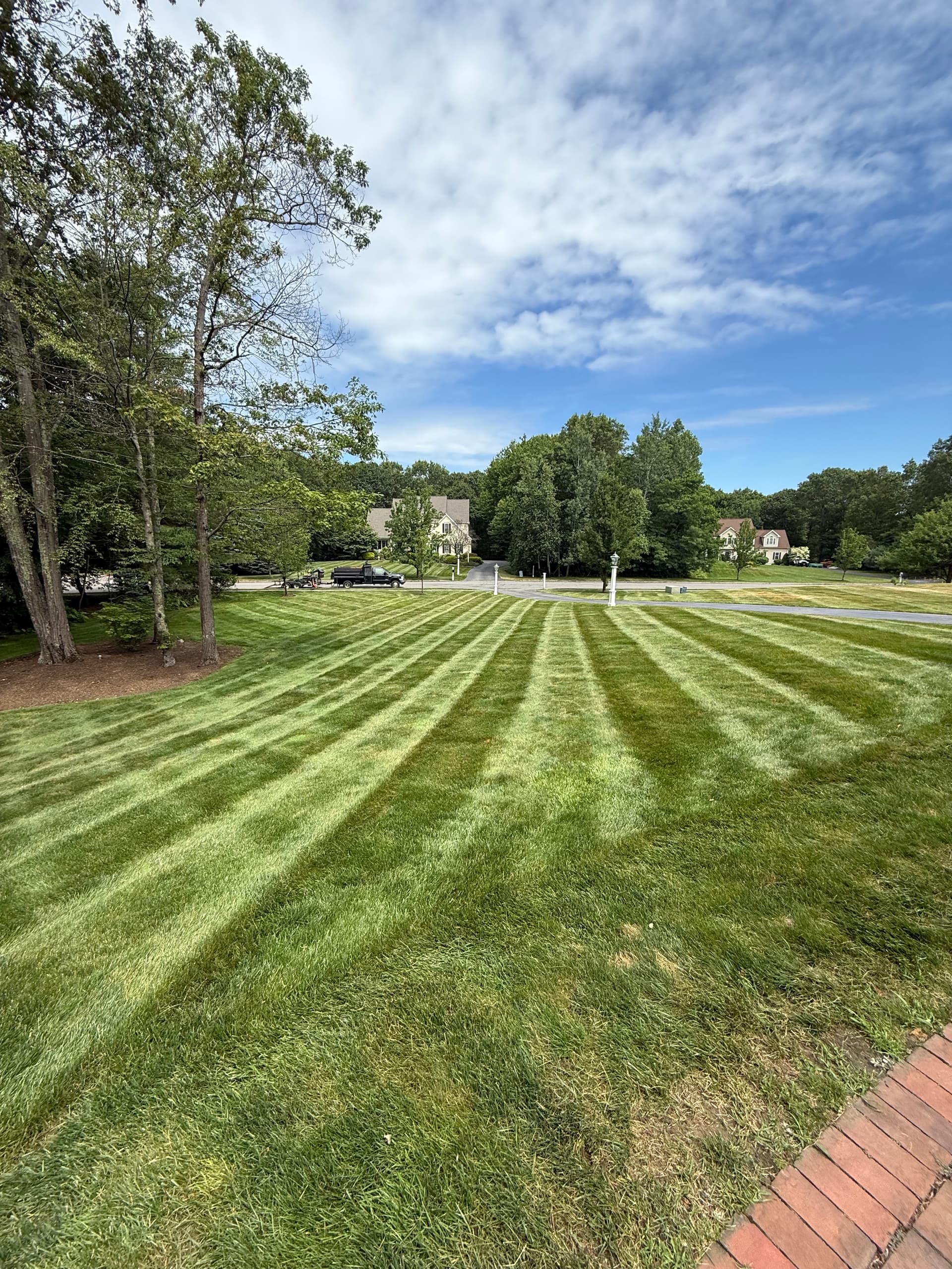 Gallery photos for Achieving Pristine Lawns with Our Weekly Lawn Maintenance: Image #2