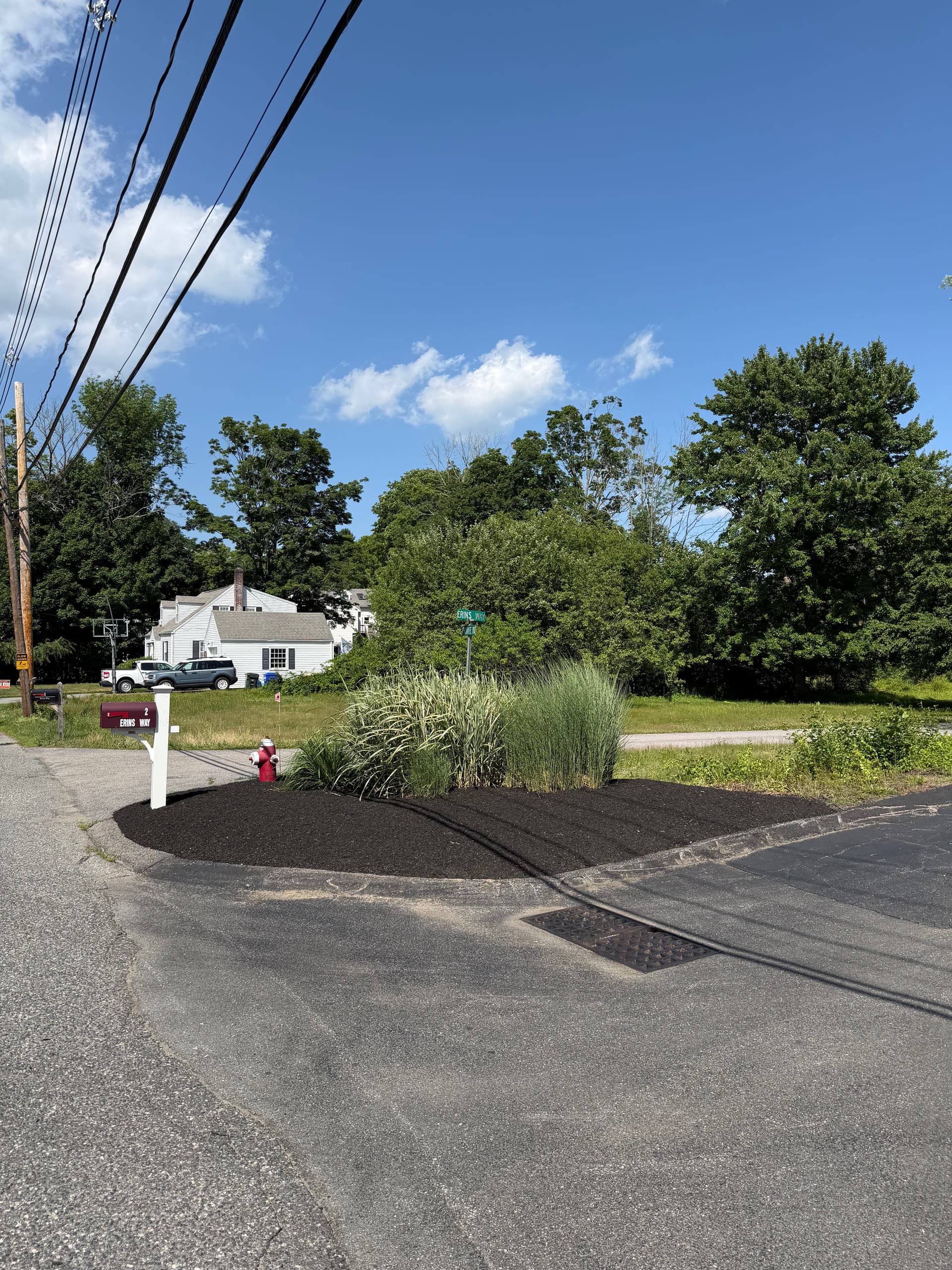 Gallery photos for Fresh Mulch Install Sharpens This Commercial Property: Image #2