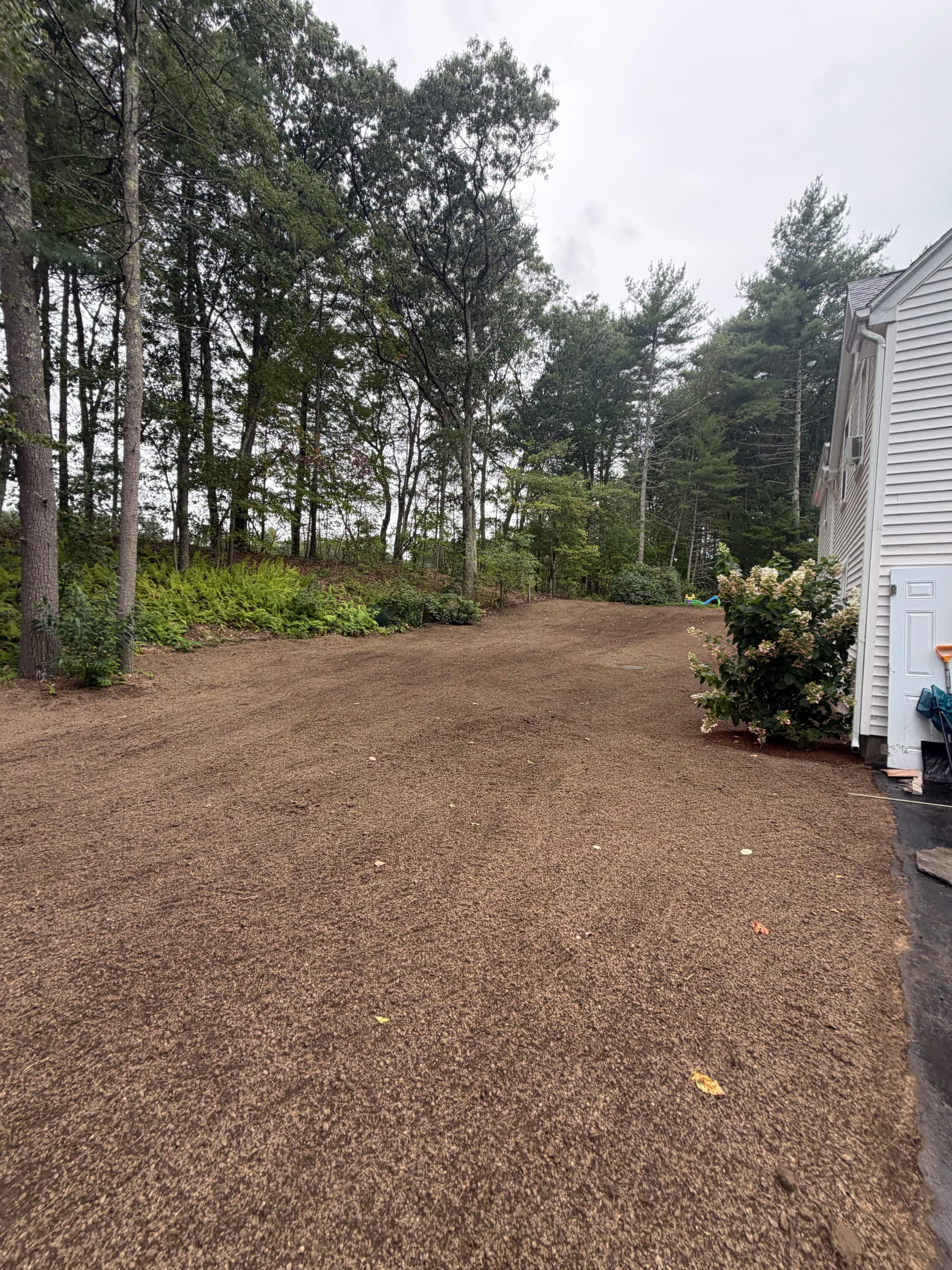 Gallery photos for Yard Restoration and Hydroseed Prep After Septic Install: Image #3