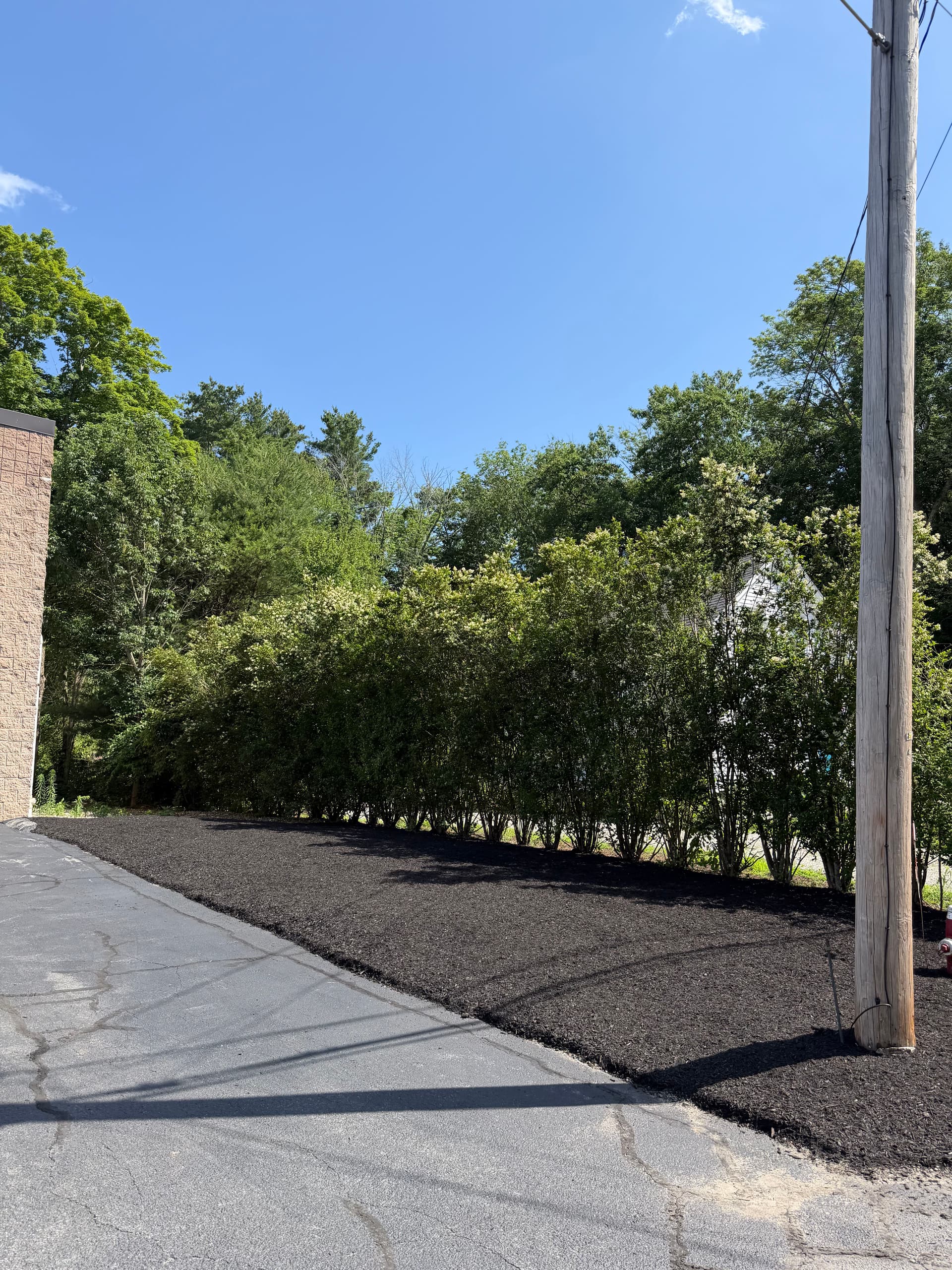 Gallery photos for Fresh Mulch Install Sharpens This Commercial Property: Image #1