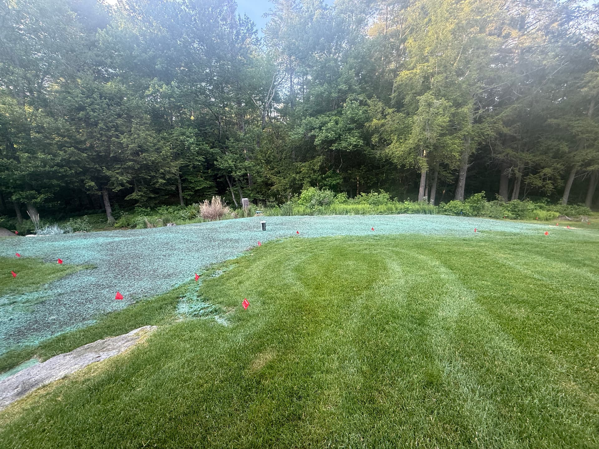 Lawn Repair and Hydroseeding After Well Installation in Upton