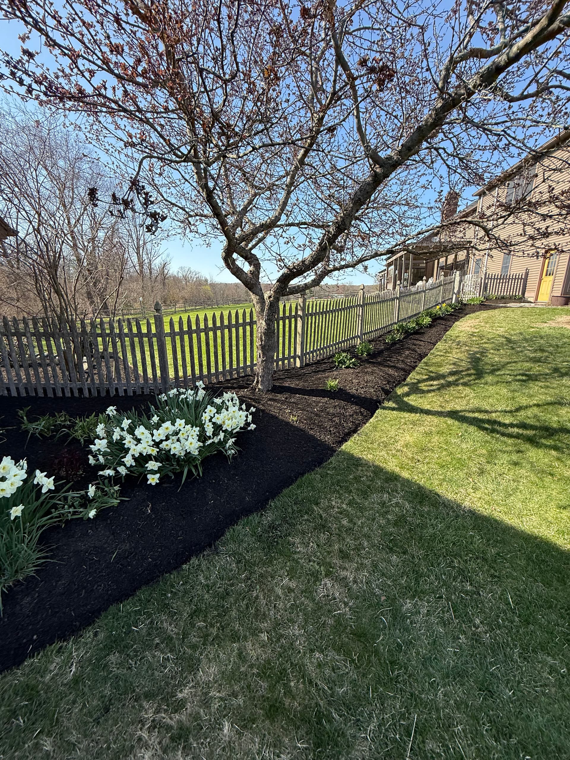 Revamping Outdoor Spaces with Fresh Mulch and Stone Accents