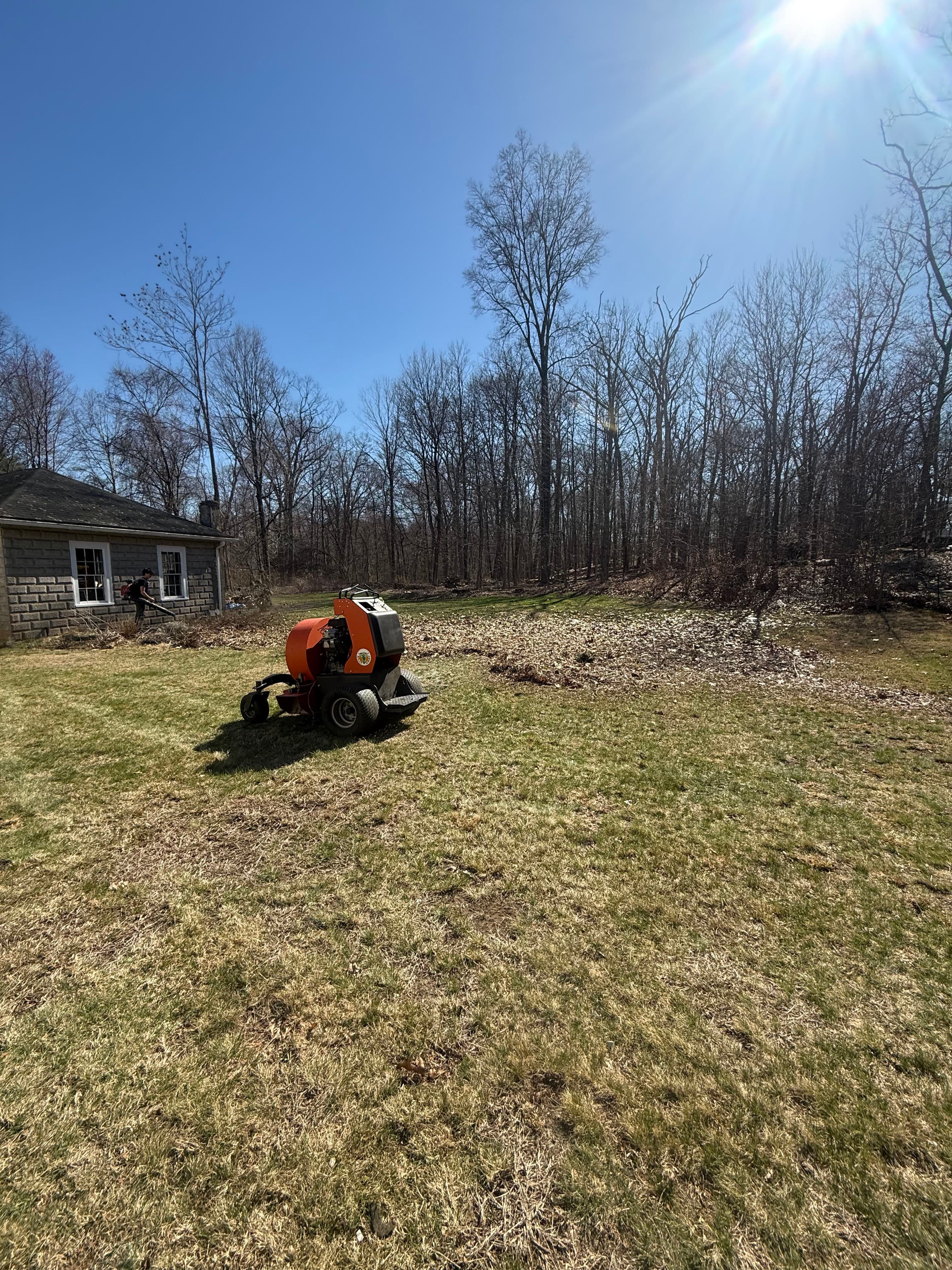 Project Spring Lawn Cleanup Done Right From the Start image