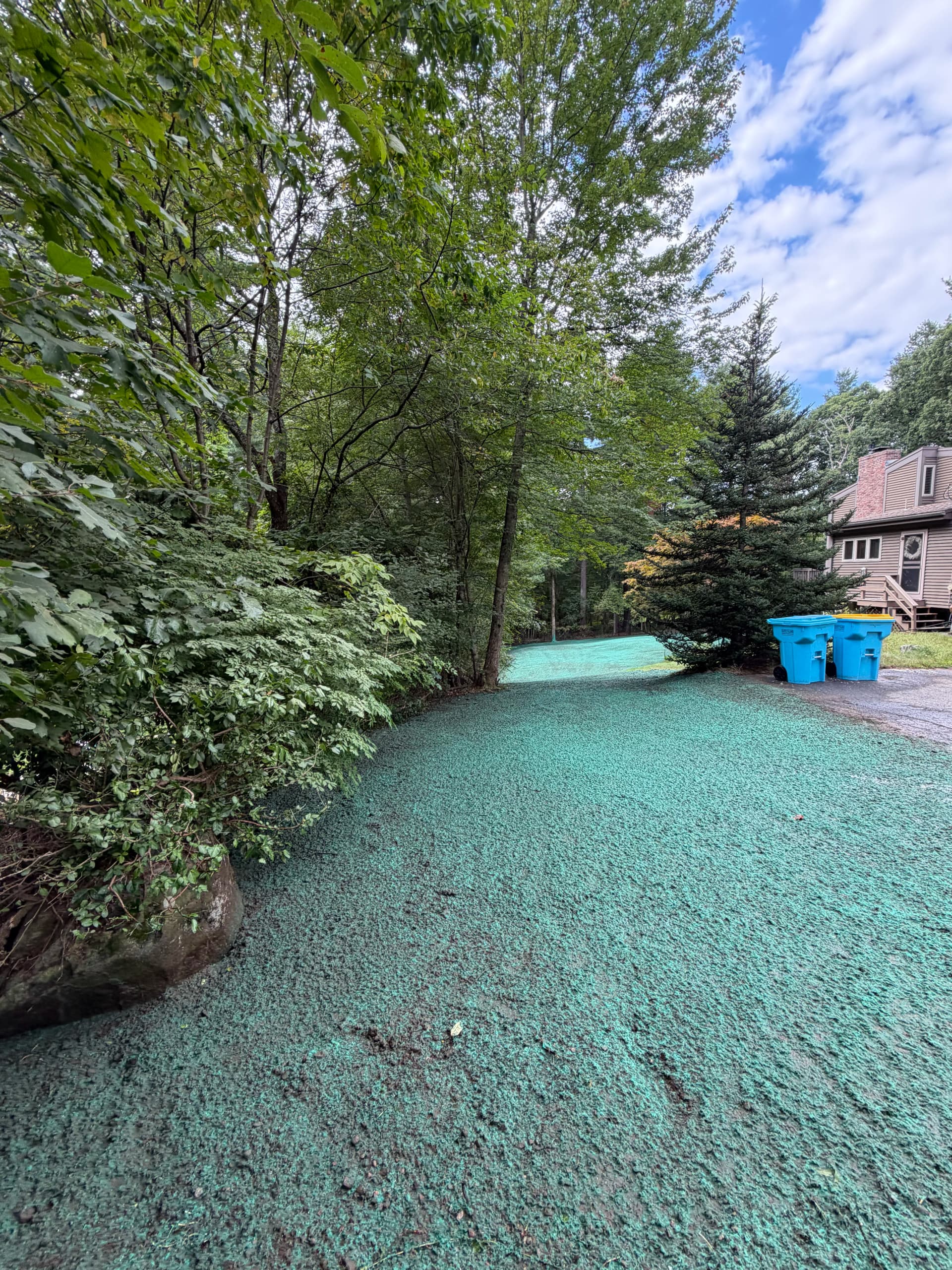 Gallery photos for In-Ground Pool Demo and Yard Reclaim in Millis MA: Image #7