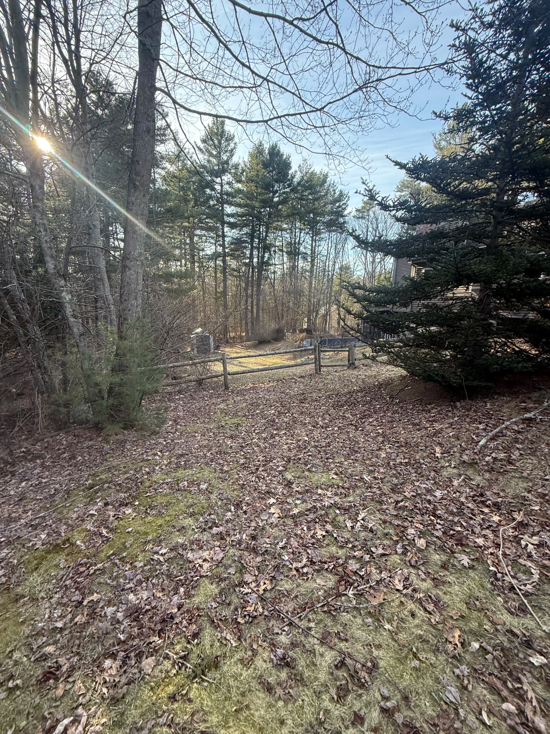 Gallery photos for In-Ground Pool Demo and Yard Reclaim in Millis MA: Image #1