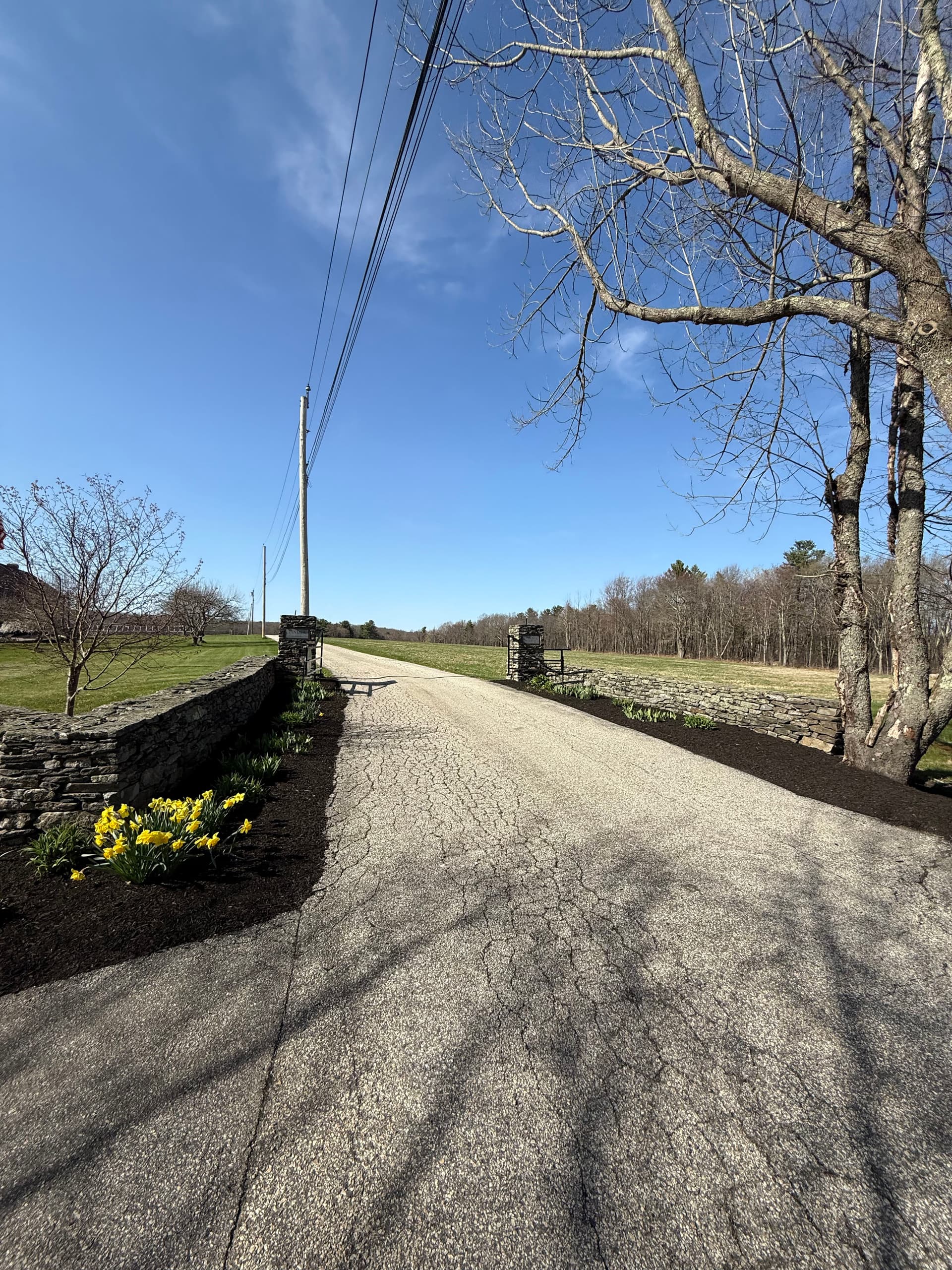 Gallery photos for Revamping Outdoor Spaces with Fresh Mulch and Stone Accents: Image #1