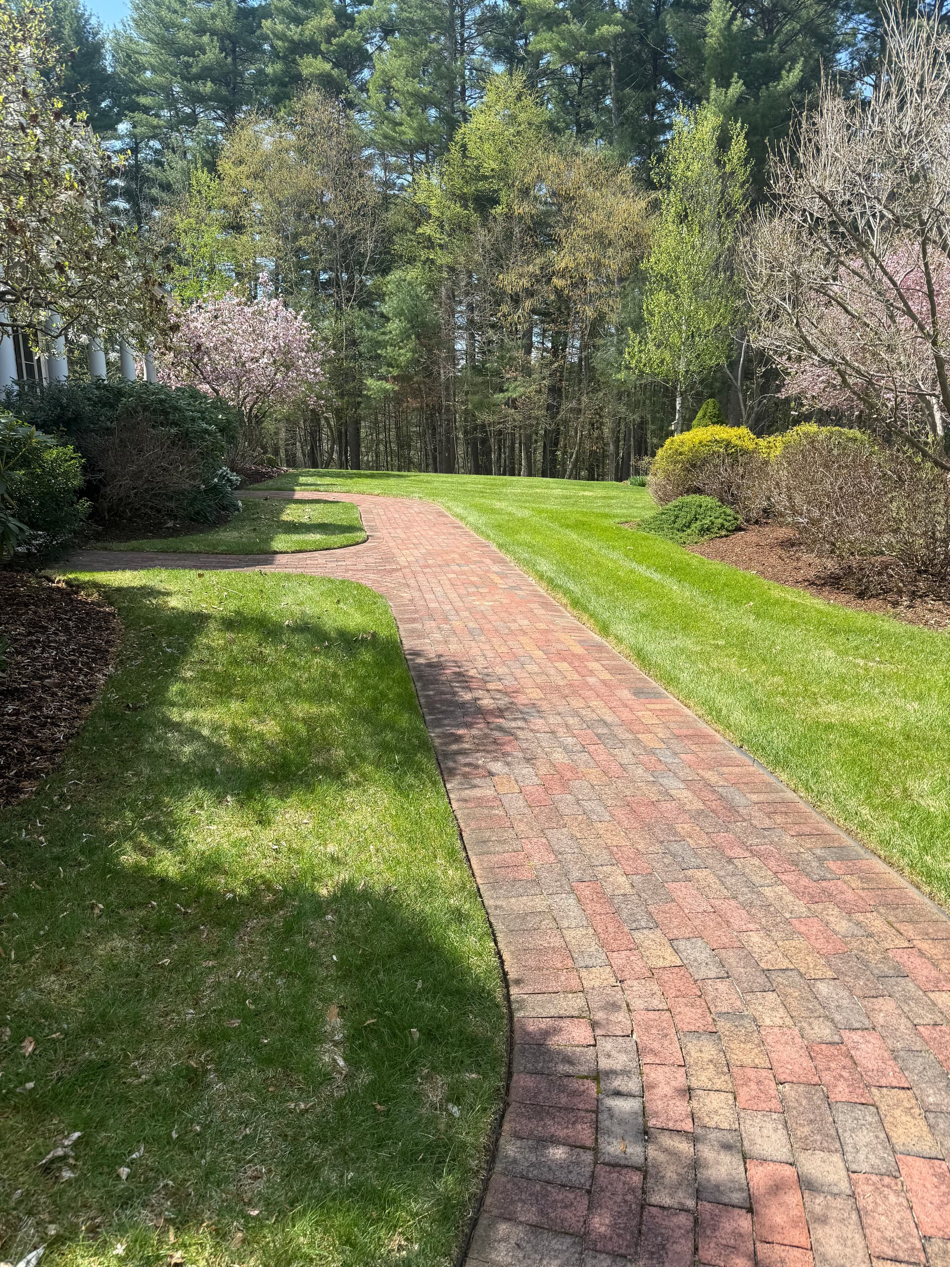 Gallery photos for Weekly Lawn Maintenance Highlights Pristine Landscapes: Image #7