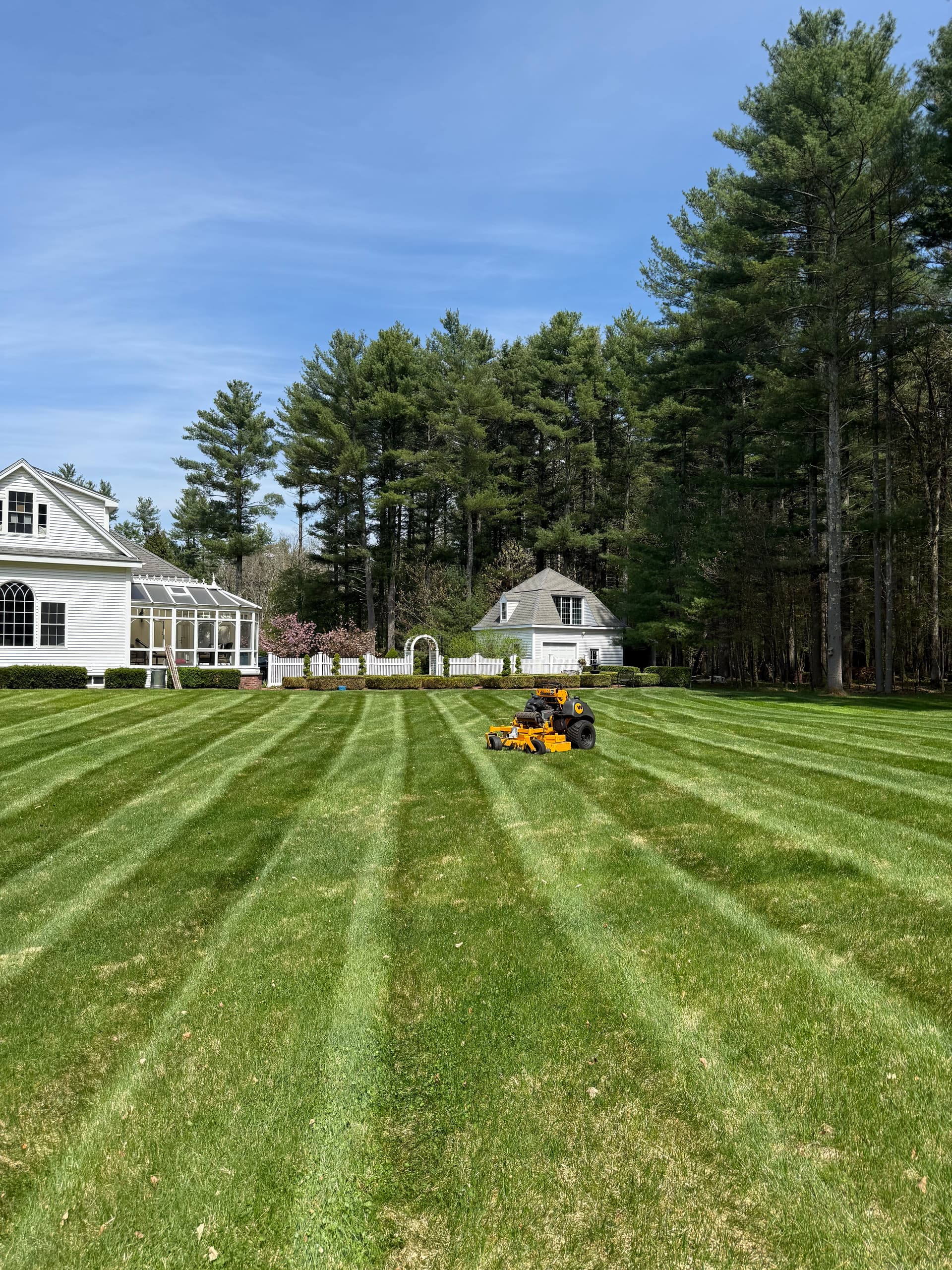 Experience a Freshly Mowed Lawn with Our Expert Services