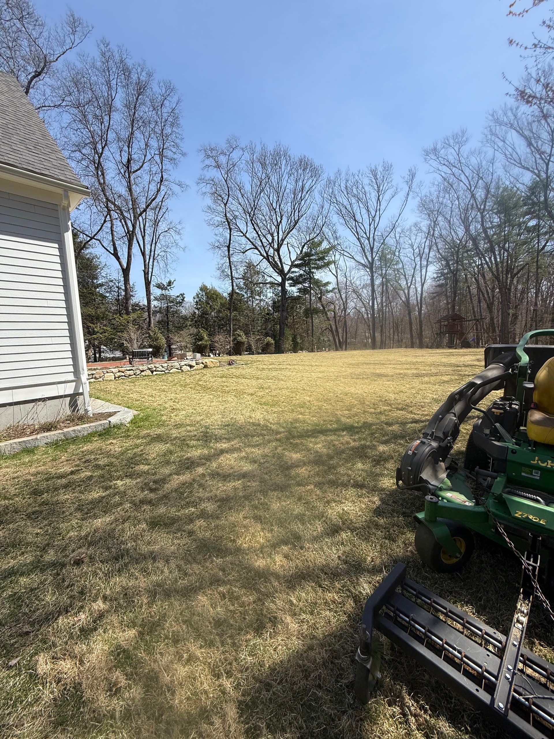 Gallery photos for Spring Cleanup and Dethatching That Actually Makes a Difference: Image #2
