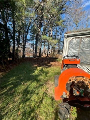 Enhance Your Outdoors with Our Fall Yard Cleanup