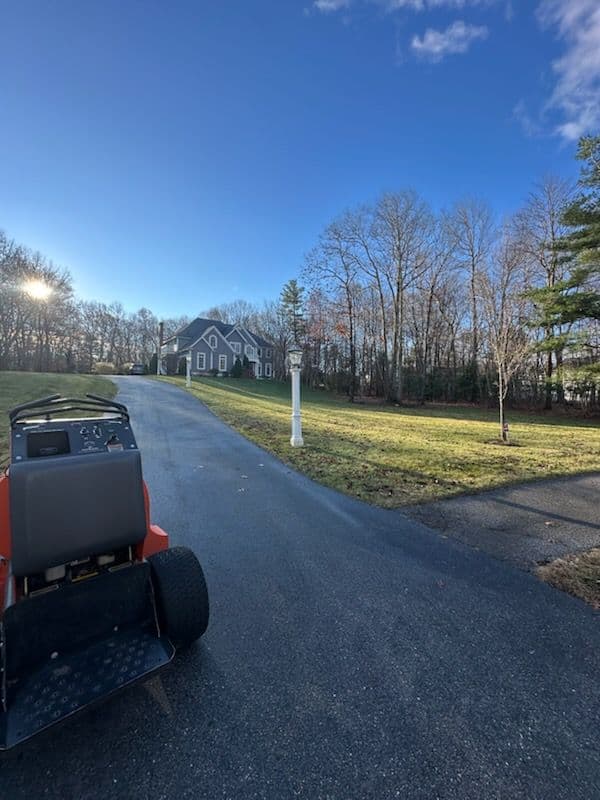 Enhance Your Outdoors with Our Fall Yard Cleanup