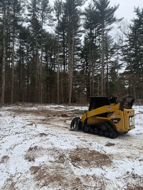 Efficient Land Clearing and Tree Management