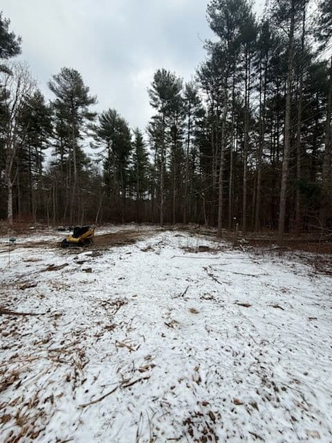 Efficient Land Clearing and Tree Management