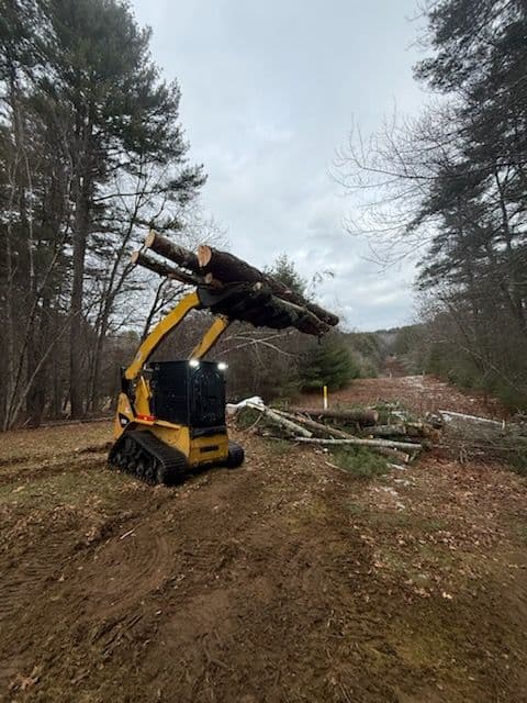 Efficient Land Clearing and Tree Management