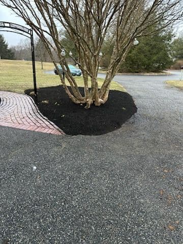 Gallery photos for Garden Landscape Revamp: Image #3