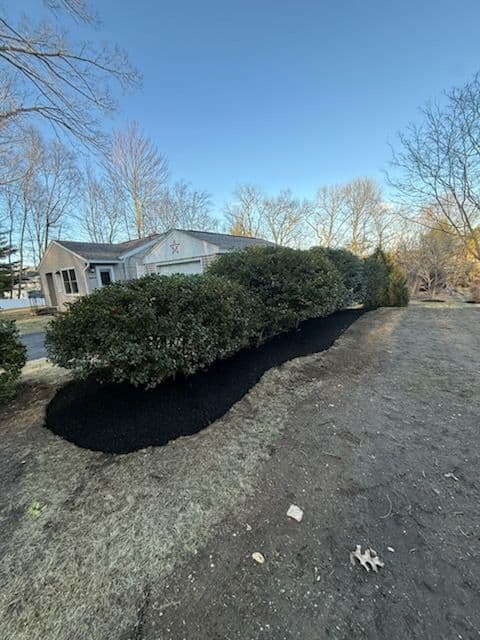Project Spring Yard Cleanup image