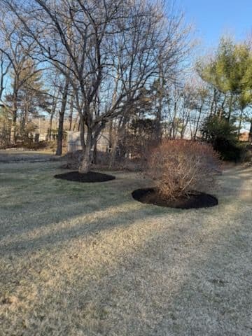 Gallery photos for Spring Yard Cleanup: Image #1