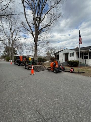 Gallery photos for Spring Yard Cleanup: Image #3