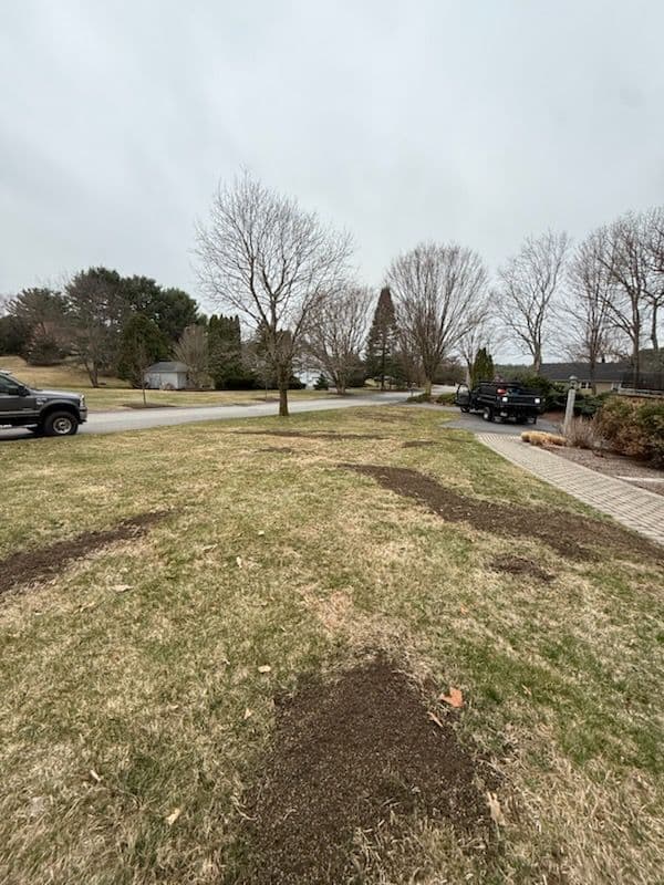 Top Dressing and Reseeding Lawn Project