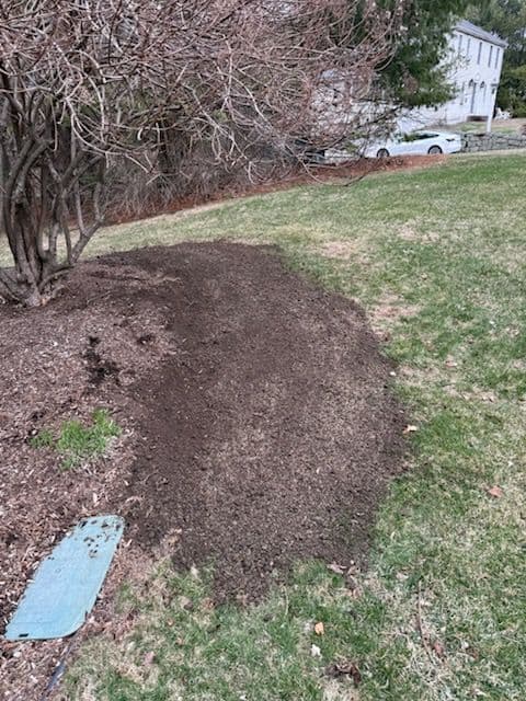 Gallery photos for Top Dressing and Reseeding Lawn Project: Image #2