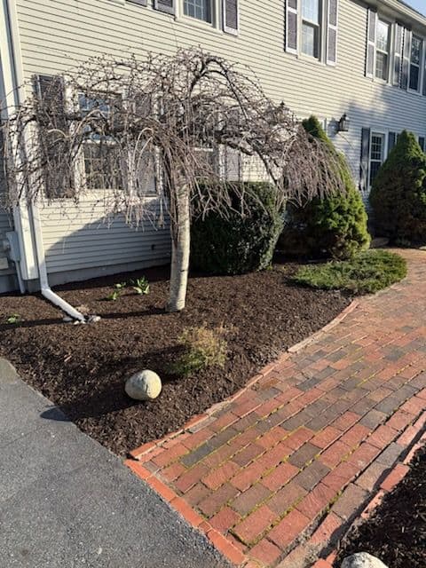 Gallery photos for Mulch Madness Update: Image #1
