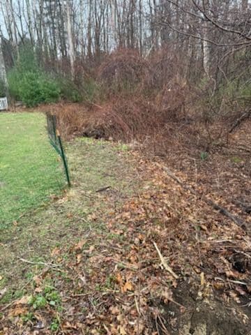 Land Clearing and Stump Removal