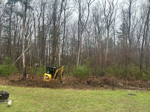 Land Clearing and Stump Removal