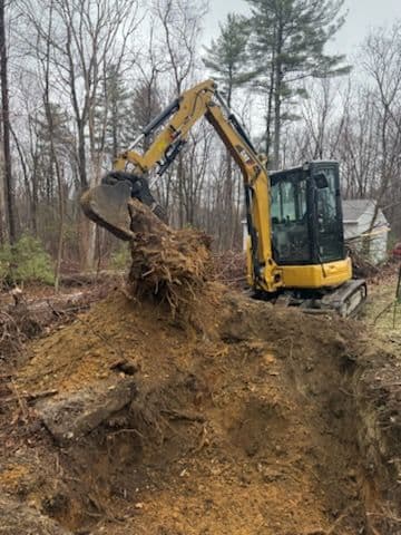 Gallery photos for Land Clearing and Stump Removal: Image #3