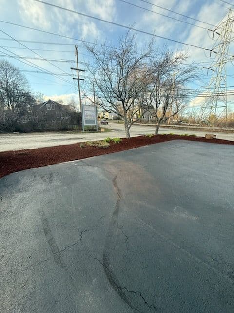 Commercial Mulching Project