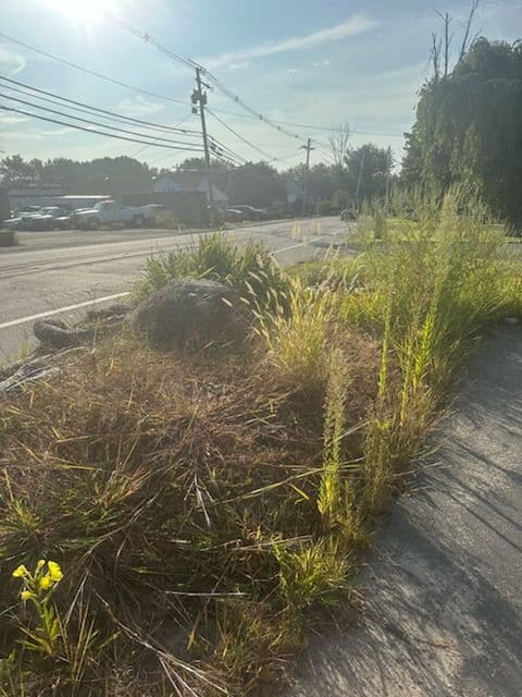 Commercial Mulching Project