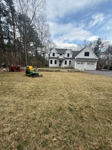 Residential Yard Cleanup