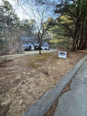 Gallery photos for Residential Yard Cleanup: Image #3